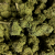 Fleur de CBD - CRITICAL KUSH