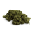 Fleur de CBD Tropical Haze Indoor