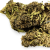 Fleurs CBD Purple Haze Greenhouse