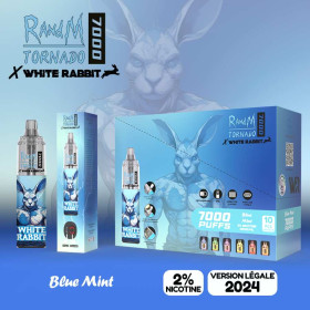 White Rabbit x RandM...