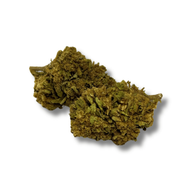 Fleur de CBD - BUBBLEGUM