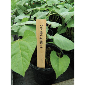Étiquettes pour plantes en...