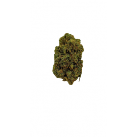 Fleur de CBD - ORANGE BUD