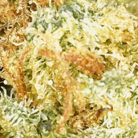 Fleur CBD Buddha Fruit Premium - Indoor