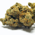 Fleur CBD Buddha Fruit Premium - Indoor