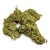 Fleur de CBD Great White Shark Greenhouse