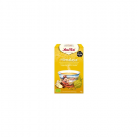 Infusion himalaya 17 sachets Yogi Tea BIO