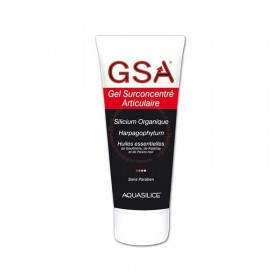 GeSil gel surconcentré 200 ml Aquasilice