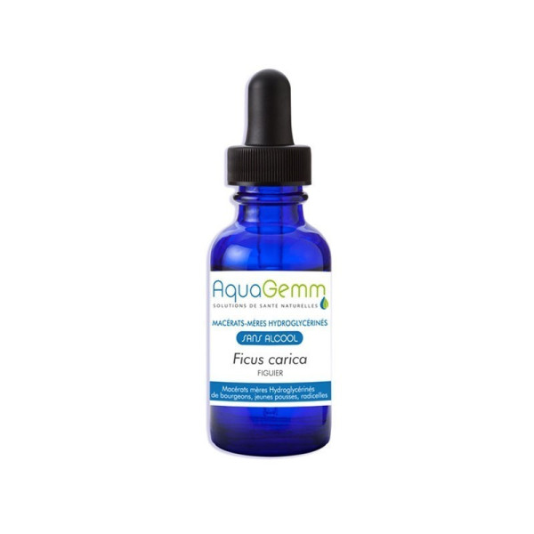 Macérat mère de bourgeons sans alcool figuier 50 ml Aquagemm BIO