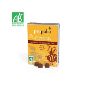 Gomme de propolis et miel...