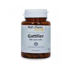 Gattilier 200 gélules Nat et Form