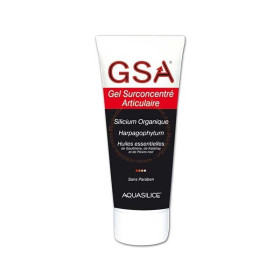 GeSil gel surconcentré 200 ml Aquasilice