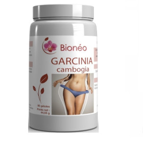 Garcinia Cambogia 90 gélules BIO