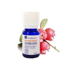 Huile essentielle de gaulthérie couchée 10ml Ad Naturam