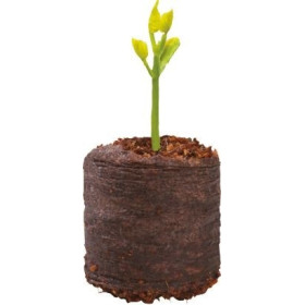 50 granulés de coco