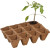Pack de 36 pots en fibre biodégradables 5 cm