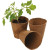 12 pots ronds en fibre de 8 cm