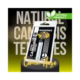 Terpène Lemon Haze | PLANT OF LIFE