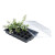 Mini serre propagateur