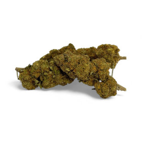 Fleur CBD Critical+ Greenhouse 8%