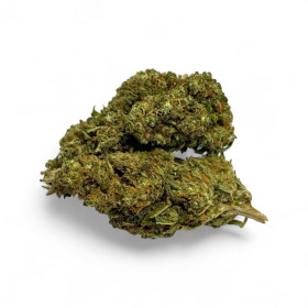 Déstockage Fleur de CBD Harlequin Indoor - Quantité Limitée