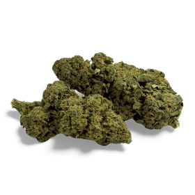 Fleur de CBD Candy Kush Greenhouse