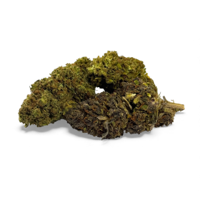 Fleur de CBD Mandarine Haze Greenhouse