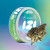 Fleur de CBD Blue Dream 2.5g - IZI - fleur de CBD une marque reconnue